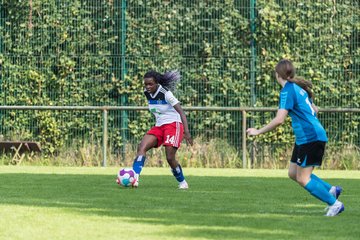 Bild 54 - wBJ VfL Pinneberg - Hamburger SV 2 : Ergebnis: 1:3
